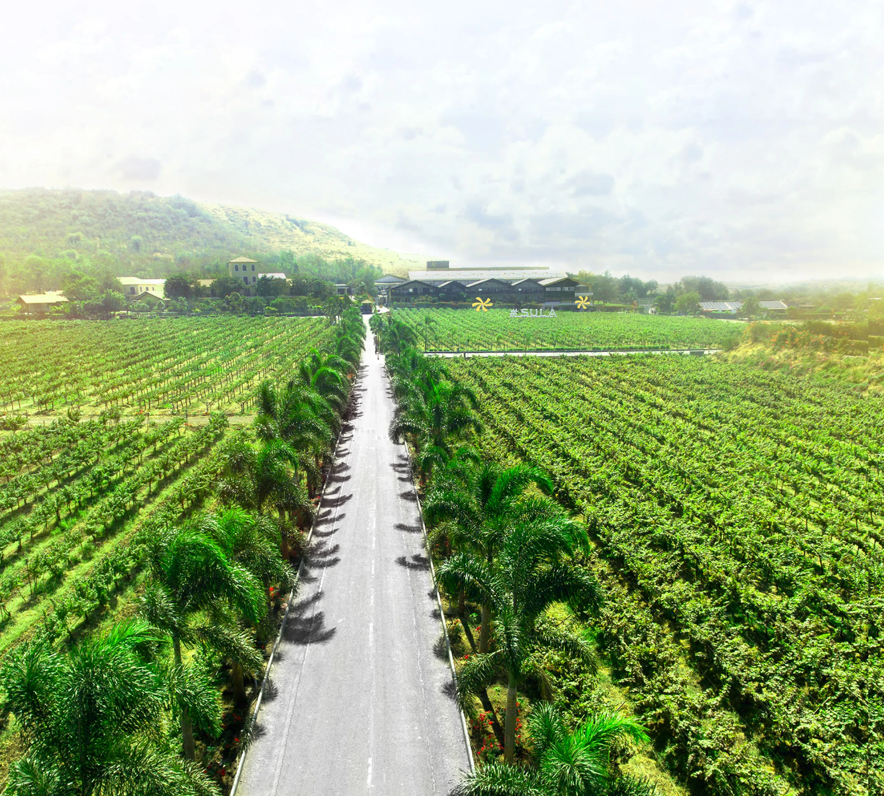 Experiential Wine Tourism in Maharashtra